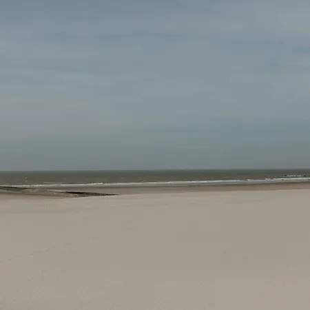 Апартаменты Zuiders Op 150m Duinen En Бреден