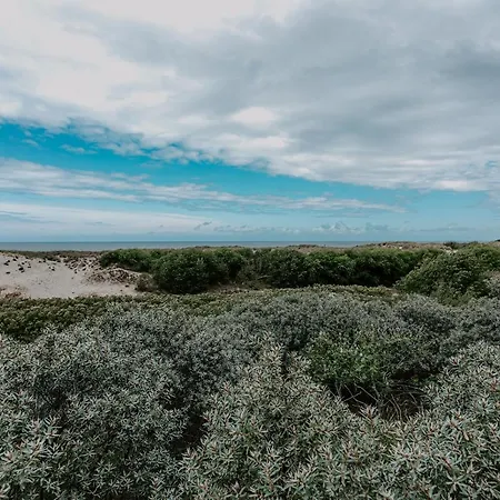 Zuiders Op 150m Duinen En Бреден